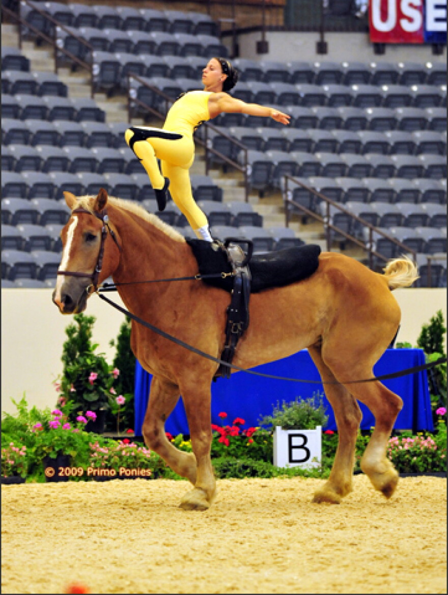 Kentucky cup vaulting