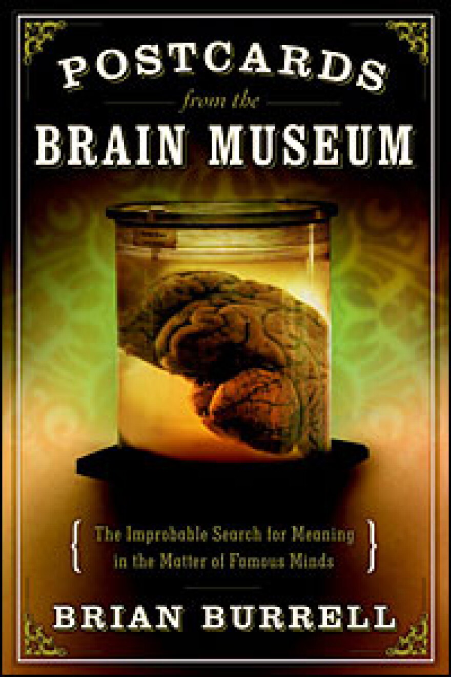 Albert Burrell The Long, Strange Journey of Einstein's Brain | KASU