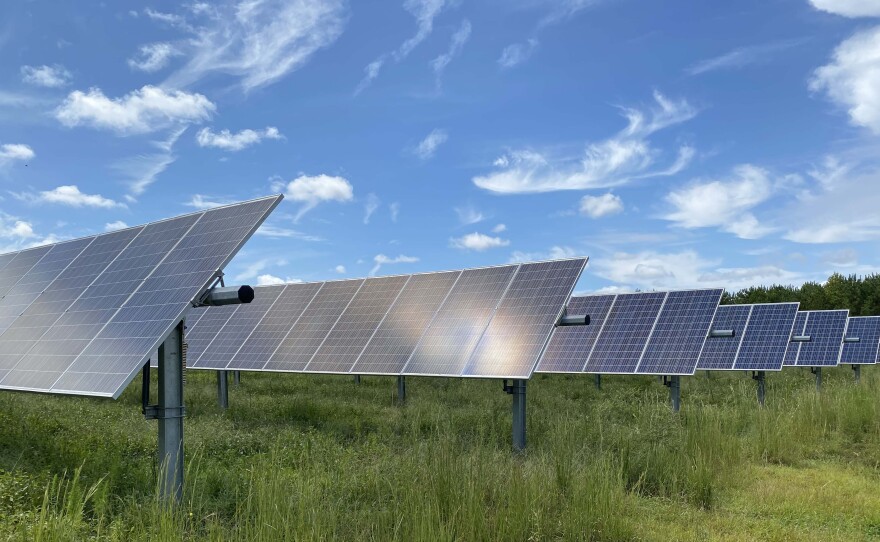 A Dominion Energy solar farm in Sussex County. (Photo by Katherine Hafner)