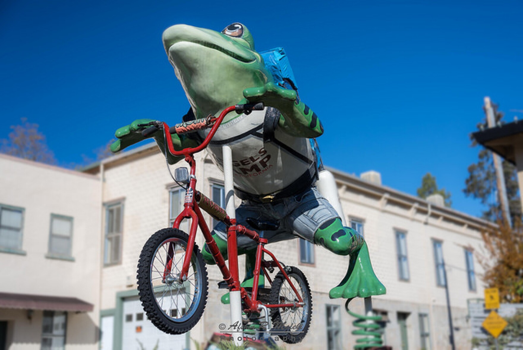 Up The Road Mark Twain’s Angel’s Camp And All Those Celebrated Frogs
