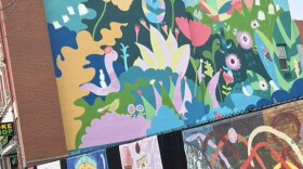 Downtown Iowa City, Iowa pedestrian mall area. (Bret Hayworth, Siouxland Public Media News)