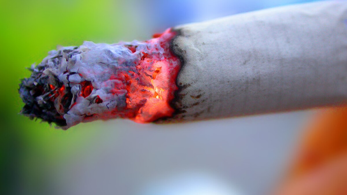 do cigarettes or weed smell more Why the smell of cannabis is everywhere and no one does anything