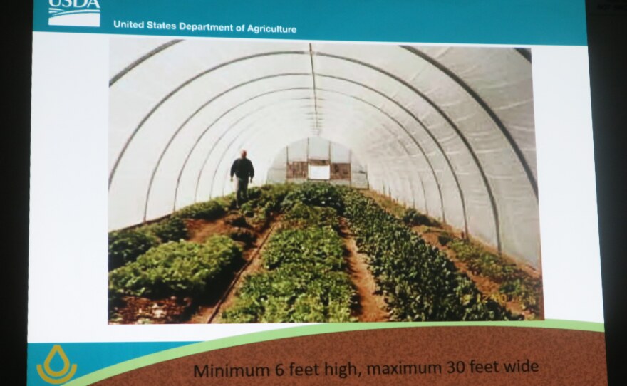 Rows of plants grow under a plastic-covered, hoop building.