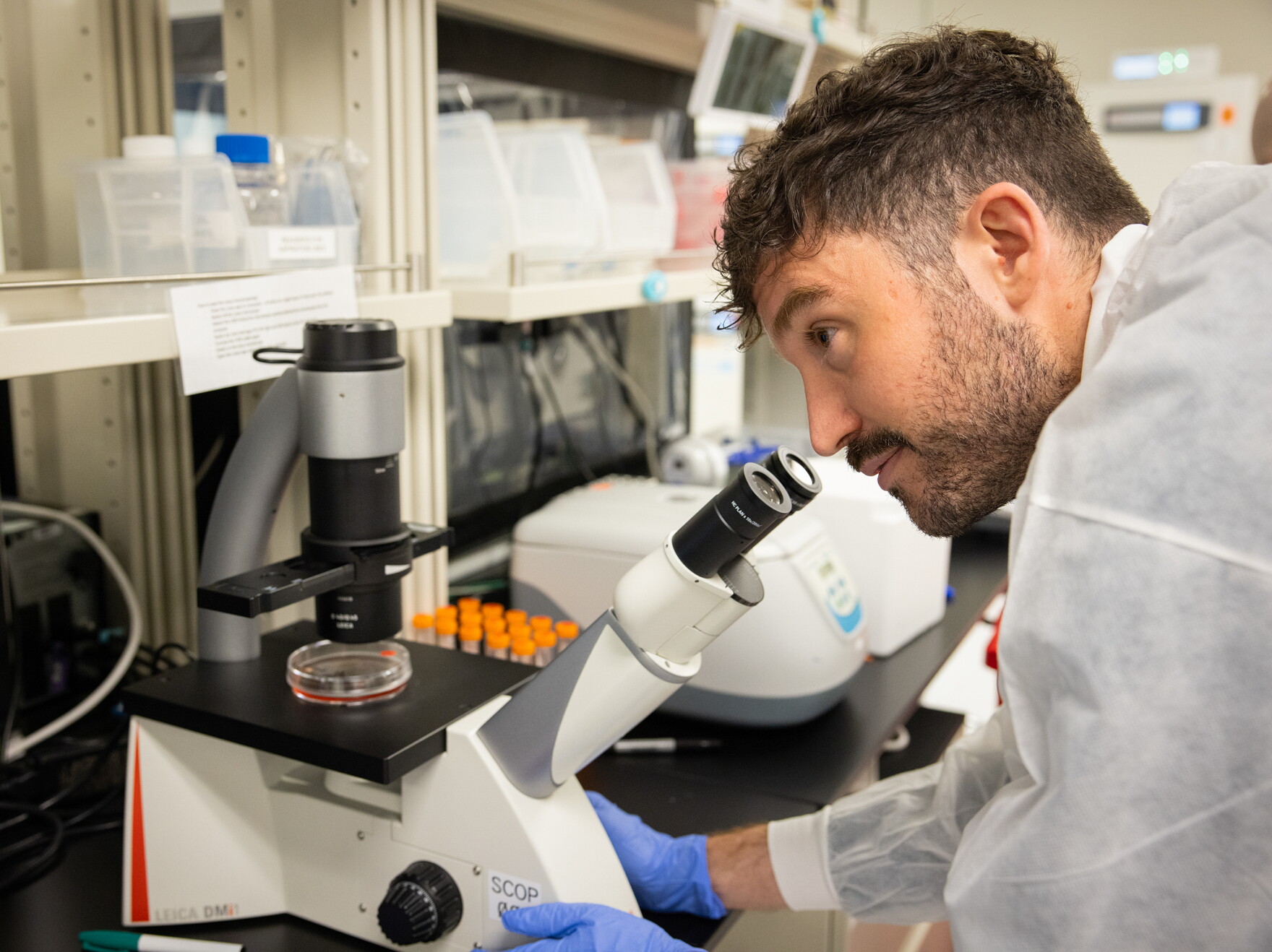 Earn Lab Startup aims to make lab-grown human eggs, transforming options for ...