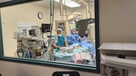 Veterinary staff performs surgery at the University of Missouri Veterinary Medical Center on Sept. 1, 2023. At the medical center, attending veterinarians work alongside veterinary students as they move through their clinical rotations. Vet techs and assistants also work at the veterinary medical center, where students spend the last two years of their training.