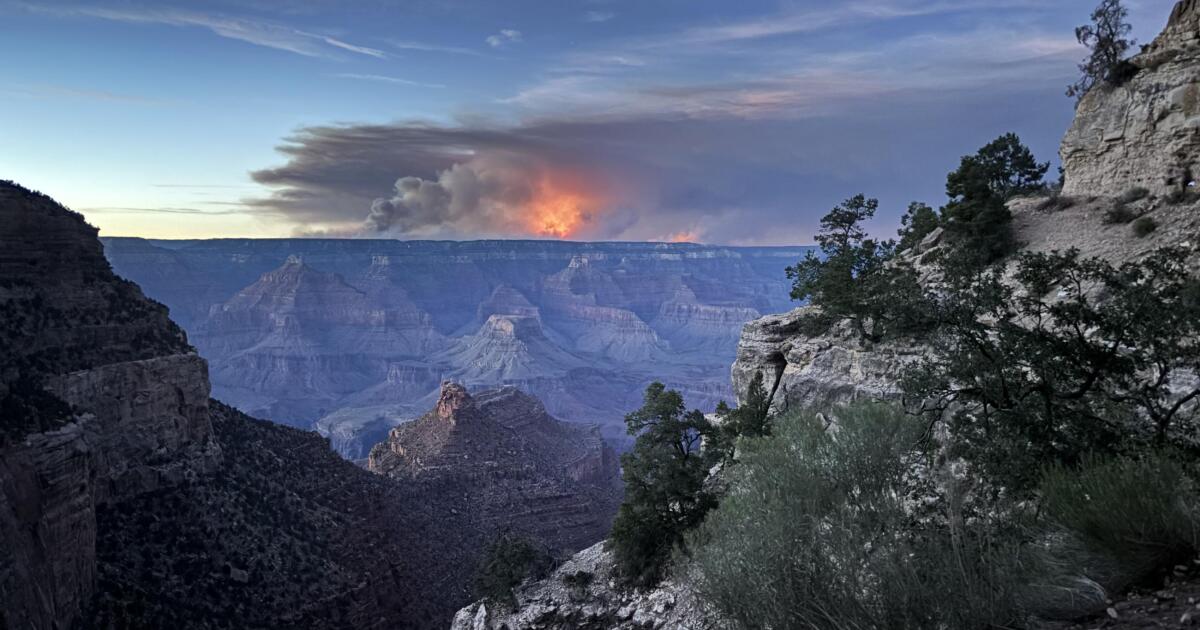 Arizona senators urge more funding for wildfire recovery on federal lands