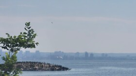 Bird filled islet in Ontario