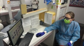 Roanoke's Bradley Free Clinic, dentist Megan Milburn looks at a computer screen with commonly used phrases in Spanish.