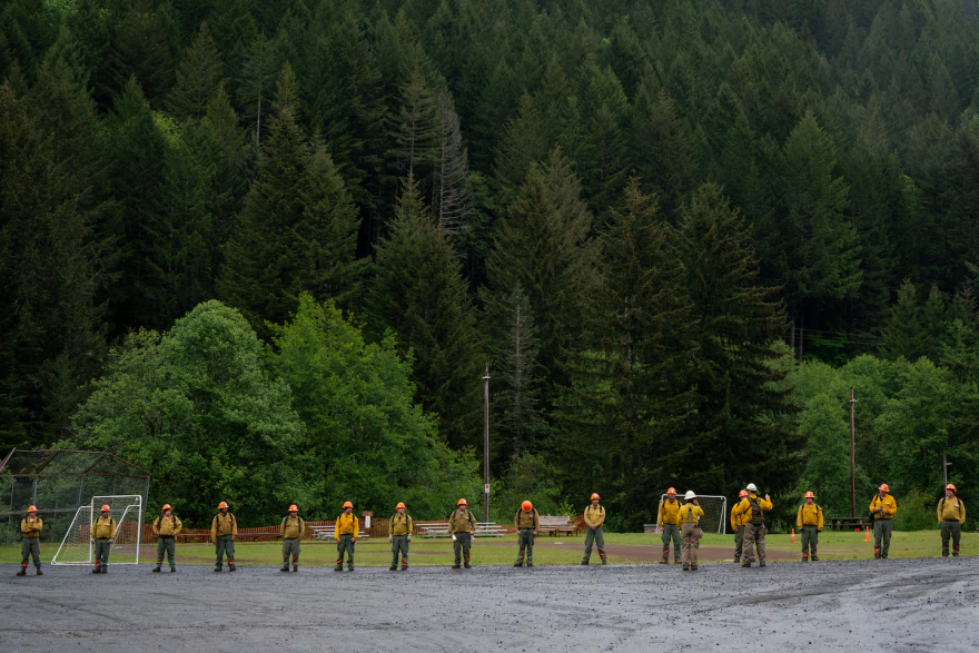 People in firefighter gear stand in a long line against a forested backdrop.