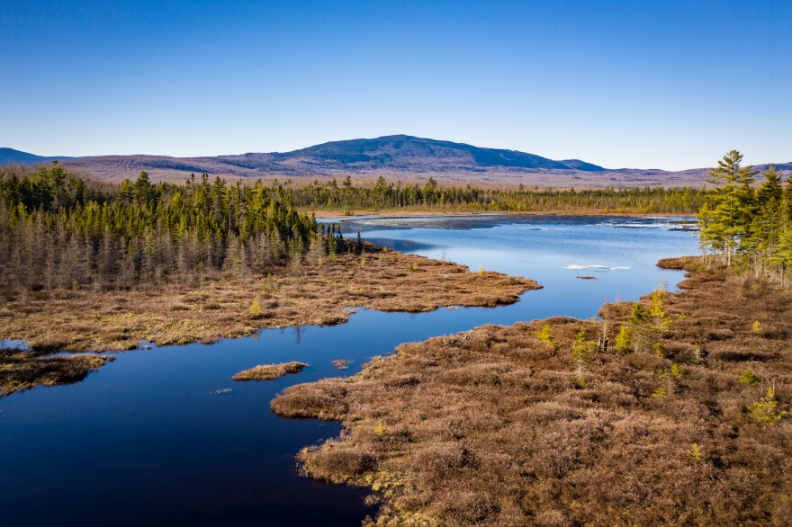 The Appalachian Mountain Club has purchased 27,000 acres of forestland in the 100-Mile Wilderness Area in Piscataquis County. The Pleasant Rivers Headwaters Forest, pictured above, is one of the last remaining unprotected forest blocks in the region, is prime habitat for native brook trout and endangered Atlantic salmon.