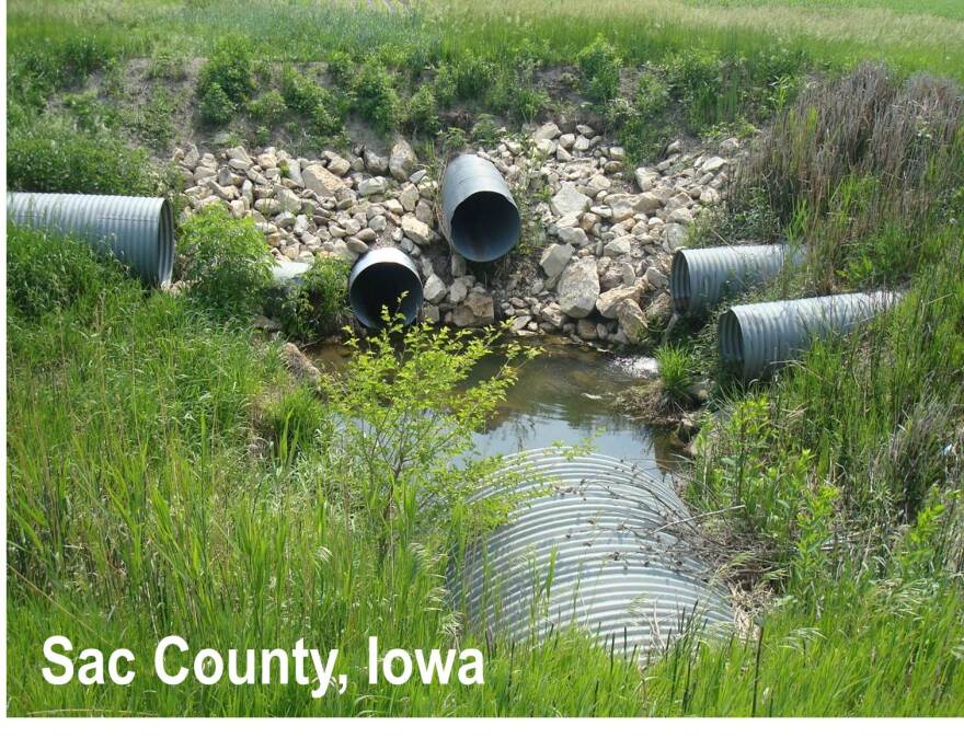 A ditch adjacent to fields in Sac Co., Iowa where several pipes drain runoff