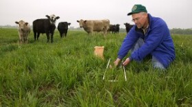 In an experimental pasture at the Grazinglands Research Laboratory near El Reno, Okla., ecologist Brian Northup collects samples to describe availability and quality of forage.