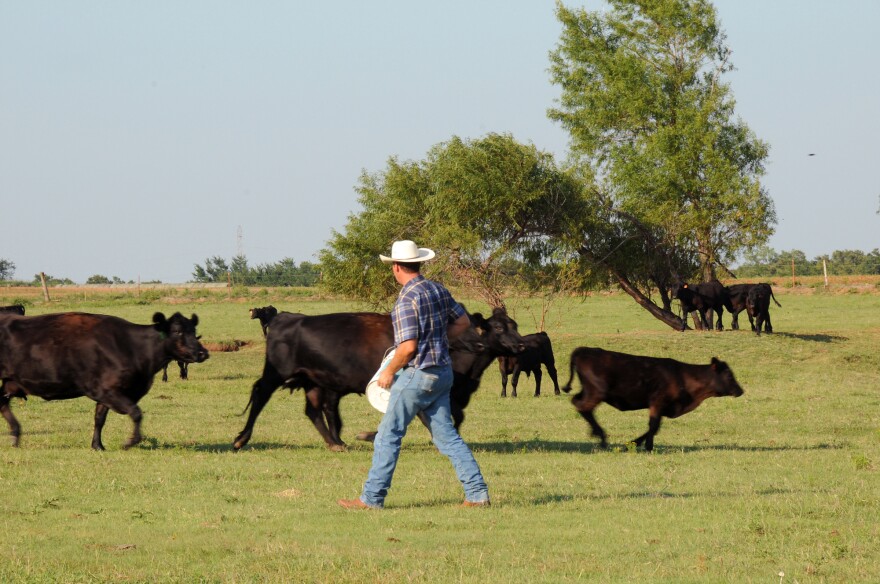 Several Indiana residents surveyed for the Indiana University report were concerned farmers in their communities would have to stop raising cattle due to the methane they produce.