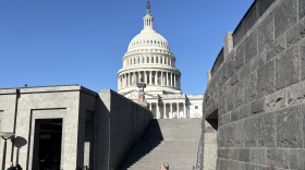 Heading to the US Capitol / Elise Pepple