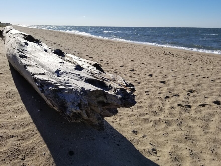 Hammonasset Beach in Madison is one of the state's most popular plots of public land.