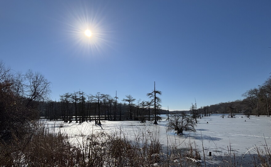A view of Sunken Meadow Pond in Surry County during icy weather in January 2025.