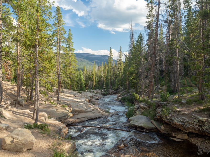 A stream flowing away from the viewer down a mountain. There are trees on both sides of the banks on rocky ground.