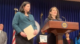 Democratic Representatives Liz Hanbidge and Elizabeth Fiedler, of Montgomery County and Philadelphia, respectively, speak in support of their joint bill. Photo by Katie Meyer.