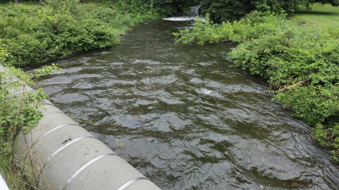 Berkshire County waterways, like the Housatonic River pictured here, were swollen from heavy rain Monday.