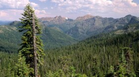 FILE - The Rogue River-Siskiyou National Forest in Curry County. Proposed changes to federal environmental regulations could give the public less input into how national forests and other public lands are used.