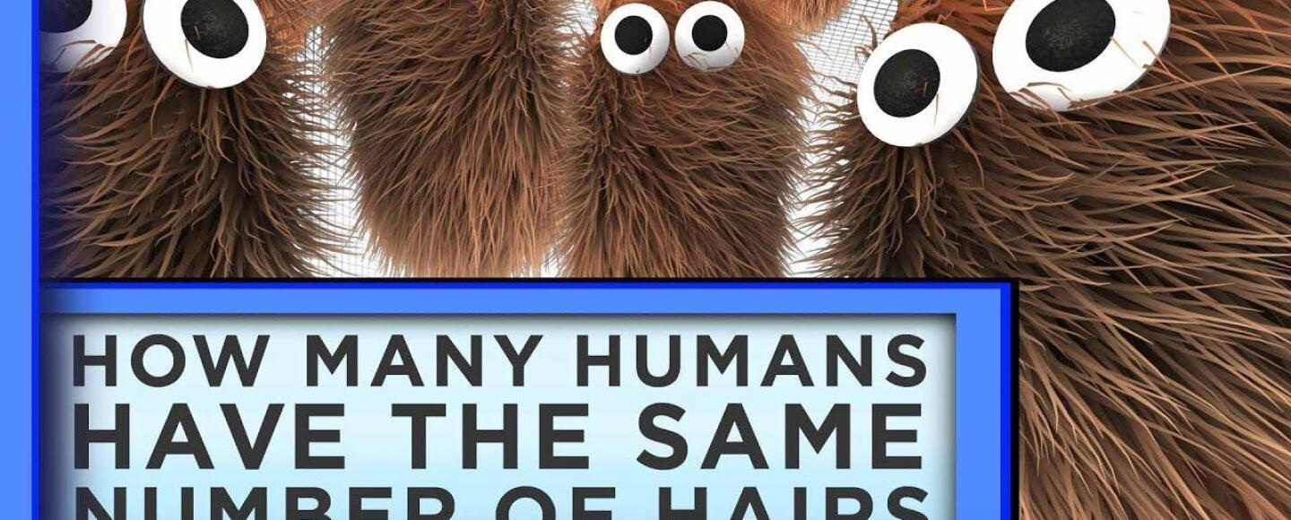 How Many Humans Have the Same Number of Body Hairs?