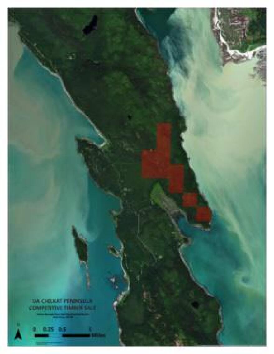 The proposed timber sale area on a map created by Haines Planner Holly Smith. (Image courtesy Haines Borough)