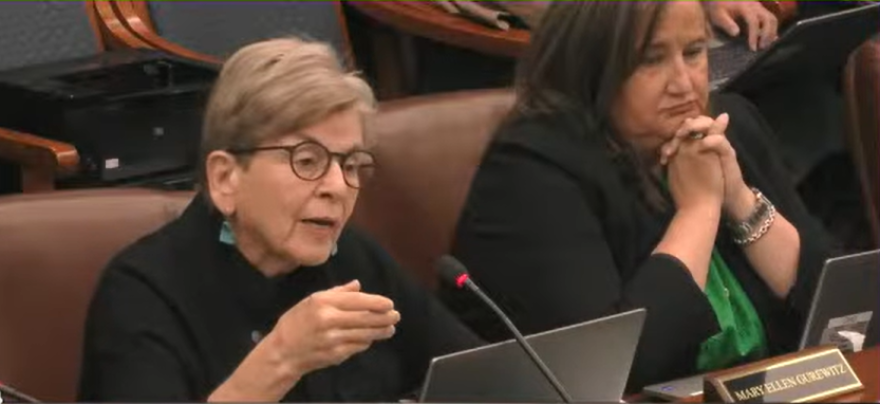 Mary Ellen Gurewitz speaks into a microphone while seated at a desk with a laptop open in front of her. Another woman sits beside her with hands clasped near her face. Brown leather chairs, laptops, and part of a nameplate are visible.