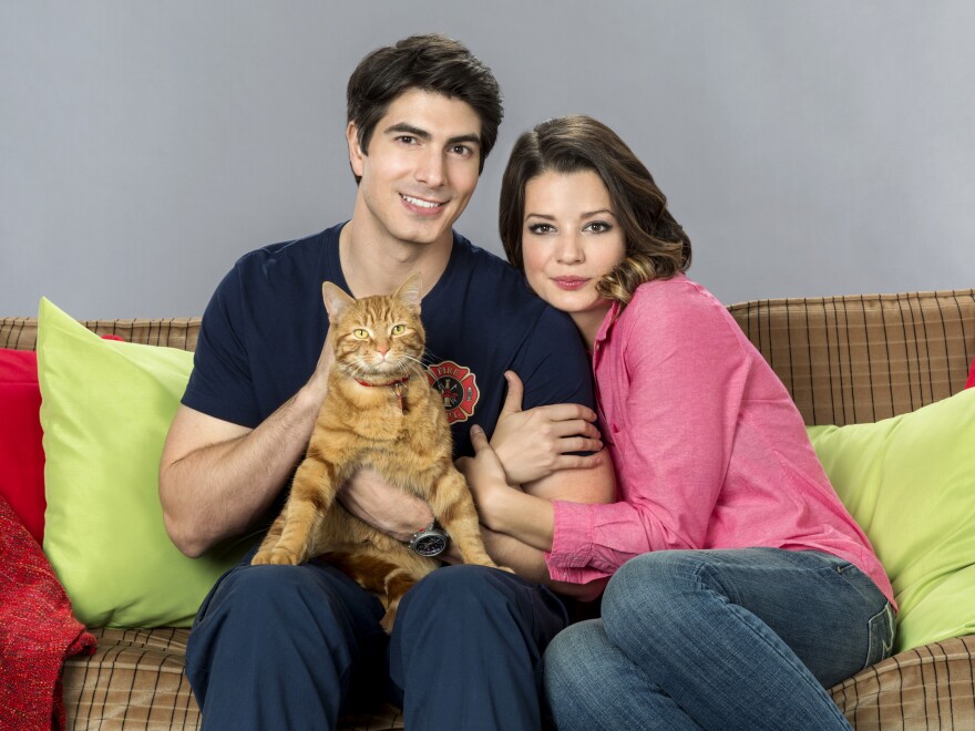 Brandon Routh, Kimberley Sustad and KITTY KITTY KITTY in Hallmark's <em>The Nine Lives Of Christmas</em>.