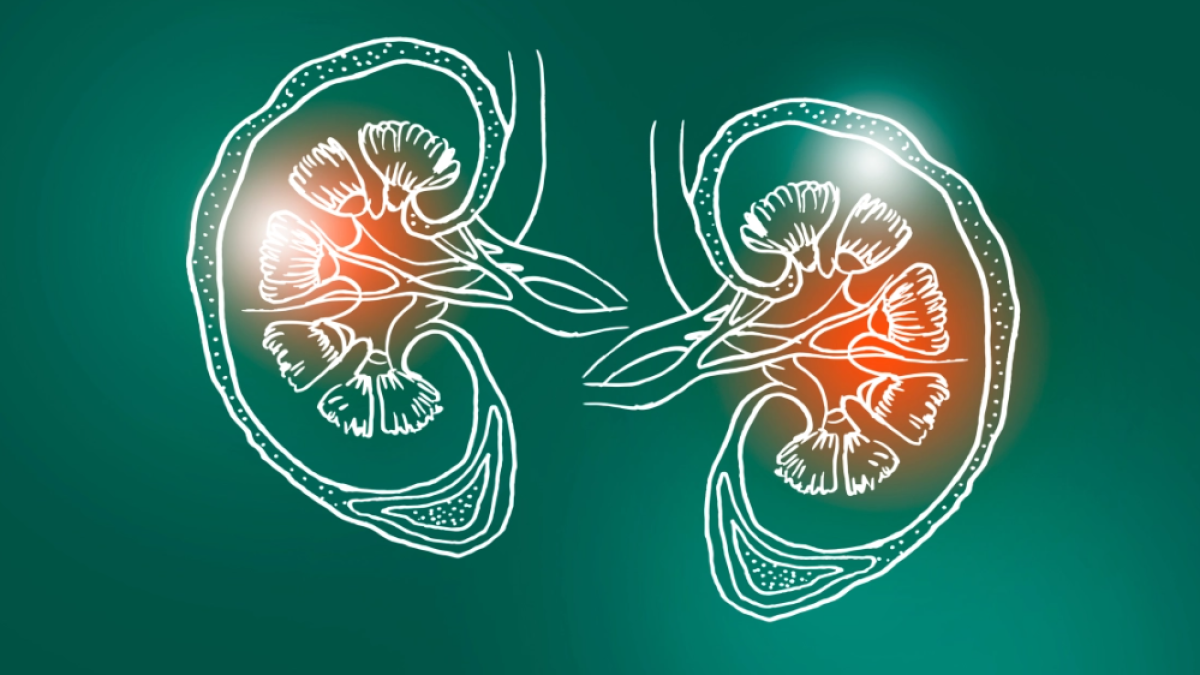 For kids with kidney disease, pediatric expertise is key — but not always close by - Vimarsana News