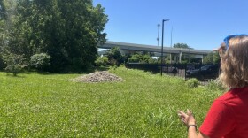 Garden manager at the Foodbank, Clara Parrish points to grassy area outside where trees will be planted