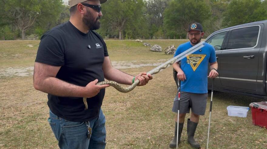 Josep Valle (left) handles an eastern diamondback rattlesnake during a demonstration at Jonesville Park on April 2, 2026, as Cory Woliver assists. (Candy Fontana Verde/WUFT News)