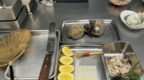 Johnny’s abalone set up 