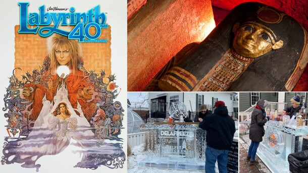 'Labyrinth' at the Avalon, ancient artifacts at the museum and DelaFREEZE are all happening this weekend.