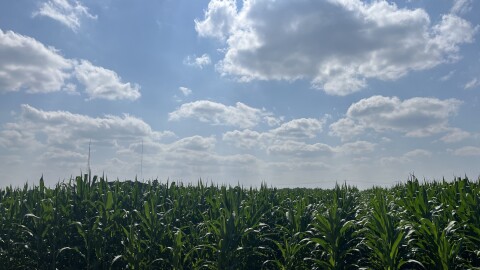 Most of foreign owned land in Michigan is forested areas of the Upper Peninsula as opposed to cornfields and farmland.