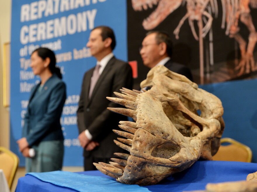 The skull of the <em>Tyrannosaurus bataar</em> skeleton is displayed during a ceremony to repatriate the bones to Mongolia.