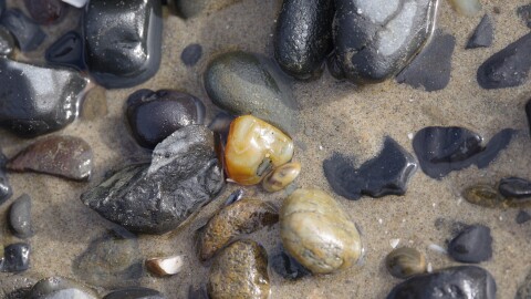 Rocks on Ona beach on April 1, 2023
