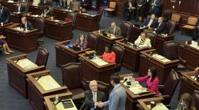 The Senate floor during a floor session Thursday Feb. 19, 2026. (Photo by Jay Waagmeester/Florida Phoenix)