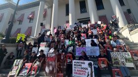 Floridians took busses from around the state on Monday, Nov. 13, 2025, to rally against the December 2025 bear hunt at the Florida Capitol.
