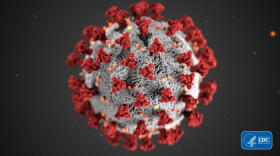 This illustration, created at the Centers for Disease Control and Prevention (CDC), reveals the ultrastructural morphology exhibited by coronaviruses. 