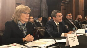 MARIE CUSICK / STATEIMPACT PENNSYLVANIA Department of Conservation and Natural Resources Secretary Cindy Dunn and Department of Environmental Protection Secretary Patrick McDonnell answered questions at a House hearing Thursday.