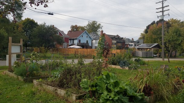 An urban farm in an Detroit.