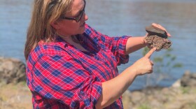 A women in a blue and red plaid shirt stands in front of a blue river. She is holding two gray rocks on top of each other. in the background, on the other side of the river, there are rocky hills and a blue sky.