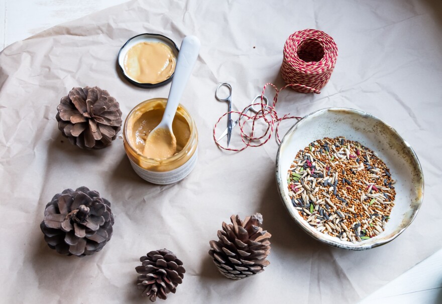 A table top with four pinecones, an opened jar of peanut butter with a spoon inside, a spool of red and white twine with scissors and a bowl of bird seed.