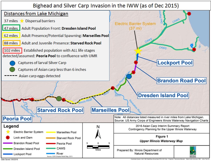 A diagram showing the location of the leading edge of the carp population.