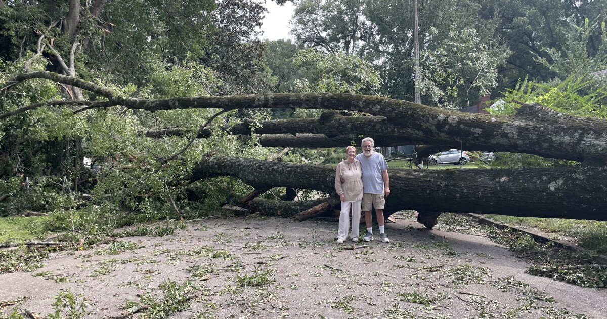 Could have been worse: MLGW chief on power restoration after Saturday storm
