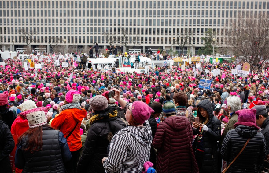 Maryland Avenue was awash with pink between the Smithsonian's Air and Space Museum and the U.S. Department of Education at the Women's March on Washington.