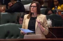 State Rep. Ann Williams, D-Chicago, speaks in favor of a megaprojects bill on the Illinois House floor on Aprill 22, 2026.