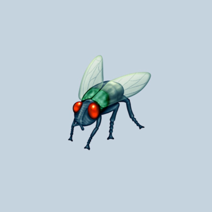 Scientists on Twitter commented that this emoji looked too much like the much-hated house fly rather than the numerous other "lovely" flies they study.
