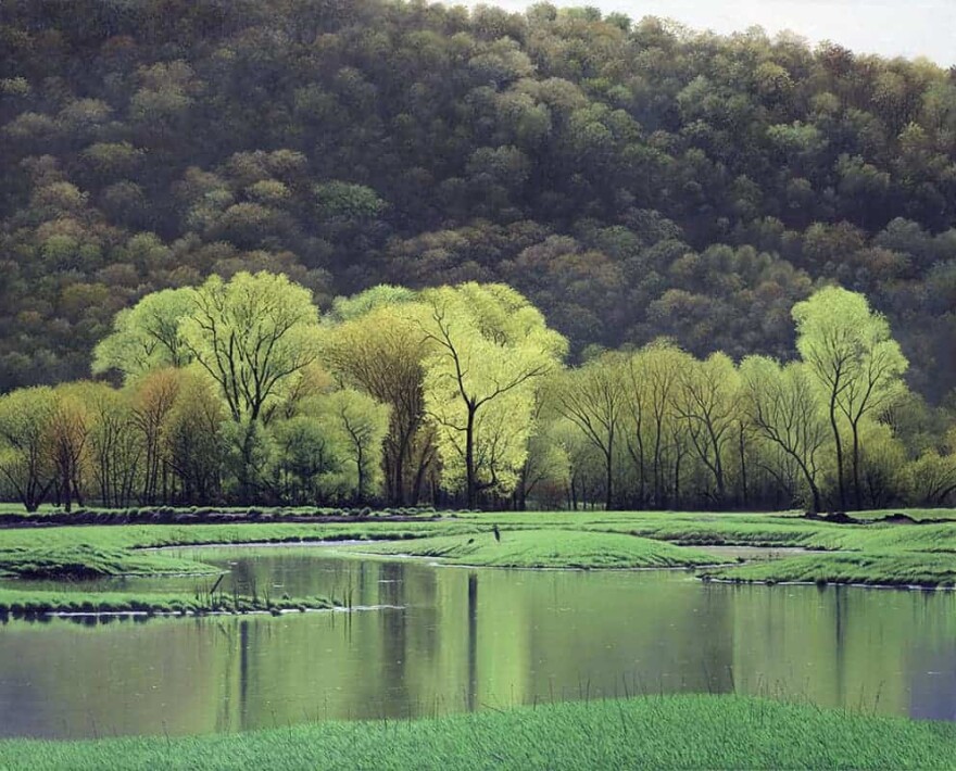 Spring-Wetland-Mississippi-and-the-Driftless-Iowa-Wisconsin-Illinois_2.jpg