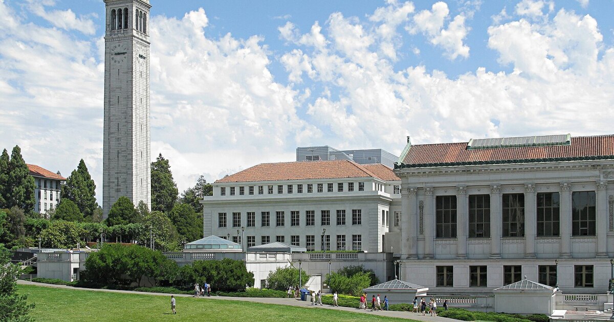 New international student enrollment drops 17 percent at U.S. universities